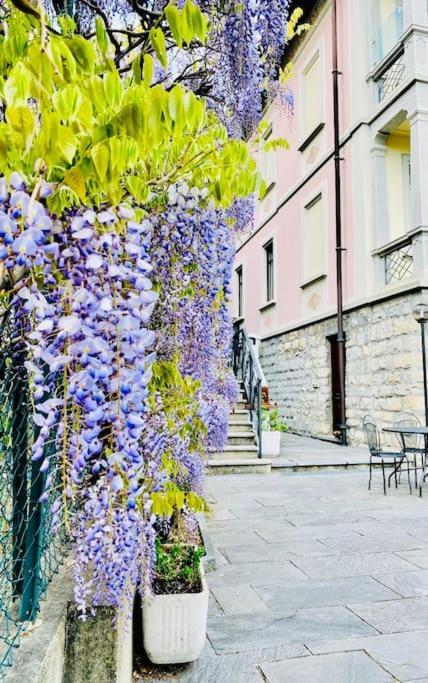 Charming & Luxury Villa Como Lake Exterior foto
